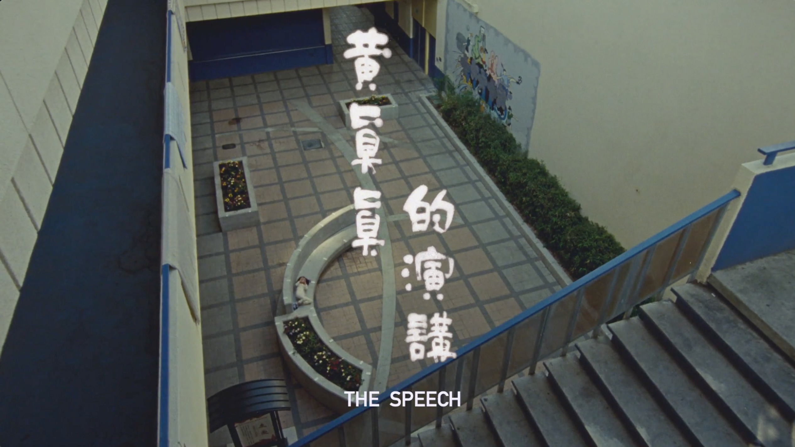 THE SPEECH 黄真真的演讲